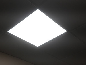 LED3
